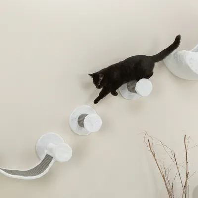 Schwarze Katze balanciert auf einer Wandinstallation mit mehreren weissen Plattformen und Kratzflächen aus Sisal.