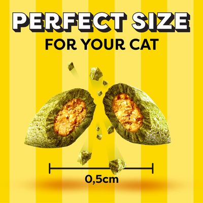 Dreamies Cat Treat Biscuits Mega Tub - Catnip (350g)