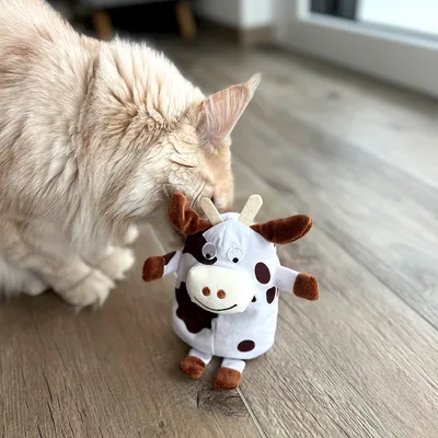 Plüschspielzeug in Kuhform mit braunen Flecken und Hörnern auf Holzboden. Katze schnuppert am Spielzeug.