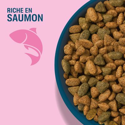 Croquettes dans une écuelle, à côté texte : Riche en saumon avec symbole de poisson.