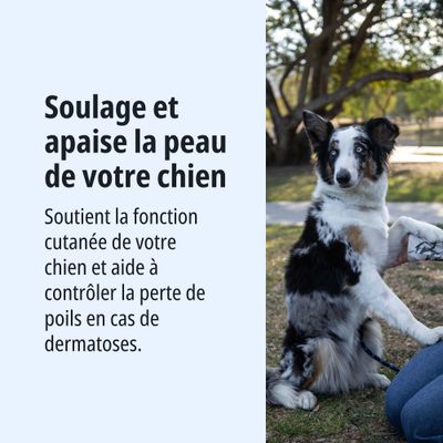 Apaise et calme la peau de votre chien. Soutient la fonction cutanée et aide à contrôler la perte de poils en cas de dermatoses.