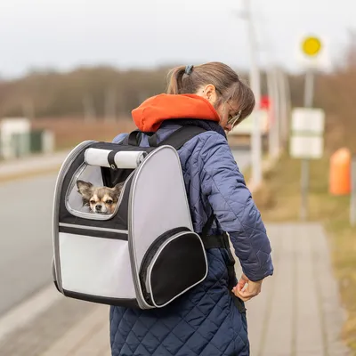Rucksack für Haustiere mit Sichtfenster, geeignet für den Transport kleiner Tiere. Grau-schwarzes Design mit zusätzlichen Taschen und gepolsterten Trägern.