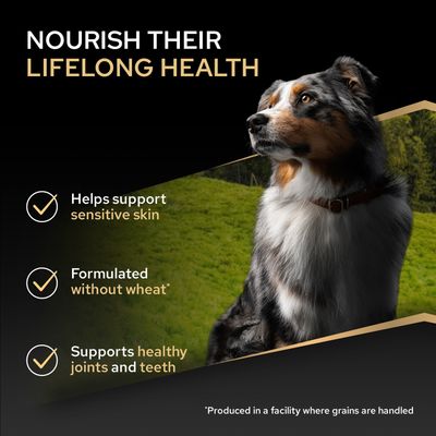 Nourish their lifelong health. Stödjer känslig hud, utan vete, främjar friska leder och tänder. Observera: Tillverkad i en anläggning där spannmål bearbetas.