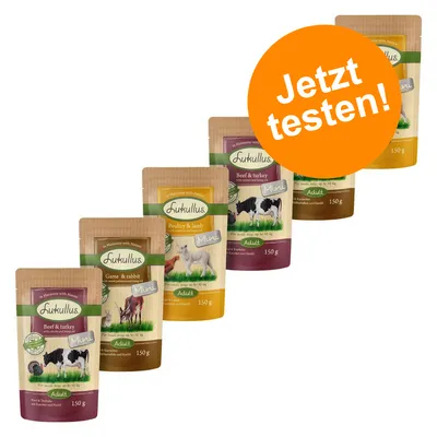 Mehrere Lukullus Mini Adult 150g Beutel in verschiedenen Sorten, orangefarbener Kreis mit Text: Jetzt testen!
