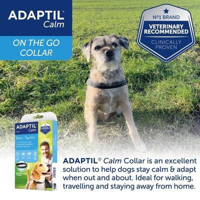 ADAPTIL Calm On The Go Collar for dogs, veterinary recommended and clinically proven, helps dogs stay calm when out, ideal for walking, travelling and staying away from home.