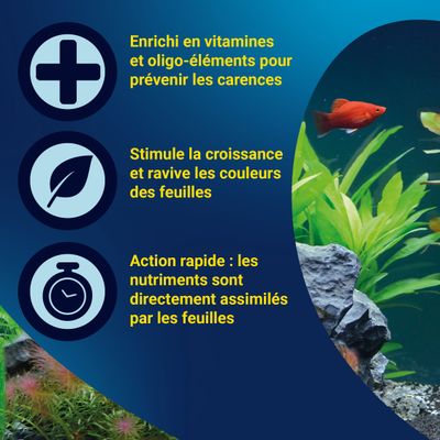 Informations en français : Enrichi en vitamines et oligo-éléments, favorise la croissance et la couleur des feuilles, action rapide grâce à l’absorption directe des nutriments par les feuilles.