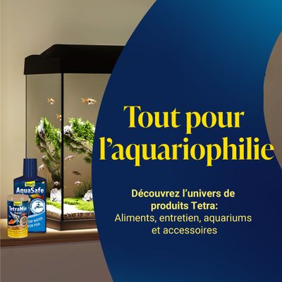 Tetra AquaSafe et TetraMin Flakes à côté de l’aquarium. Texte : Tout pour l’aquariophilie. Découvrez l’univers des produits Tetra : aliments, entretien, aquariums et accessoires.