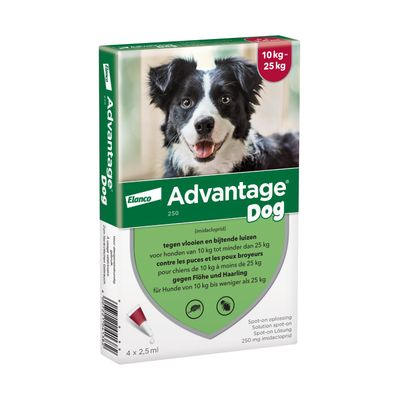 Elanco Advantage 250 mg oplossing voor preventie en behandeling van vlooien- en luizenbesmetting bij honden van 10 tot 25 kg. Verpakking bevat 4 x 2,5 ml.