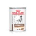 Royal Canin Veterinary Canine Gastrointestinal High Fiber Mousse 24 x 410 g