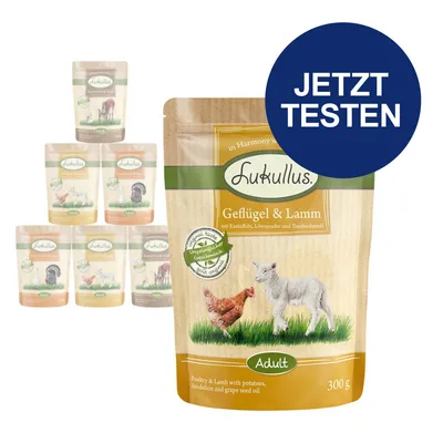 Lukullus Geflügel & Lamm Adult, mit Kartoffeln, Löwenzahn und Traubenkernöl, 300g. Jetzt testen.