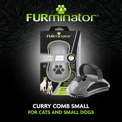 FURminator Curry Comb Small, velegnet til katte og små hunde. Afbildet: Produktpakning og kam med gummibørster og justerbar rem. FURminator Curry Comb Small, velegnet til katte og små hunde. Afbildet: Produktpakning og kam med gummibørster og justerbar rem.