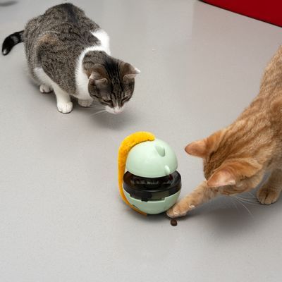 Dois gatos junto a brinquedo interativo dispensador de comida, com um gato a tocar numa guloseima caída no chão. Brinquedo em plástico verde claro e amarelo.