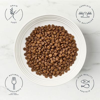 Encore Adult Complete krmivo pre mačky, 800g, s kuracím mäsom, bez obilnín, 80% kuracieho mäsa, 20% prírodných extraktov, 100% prírodné zložky.