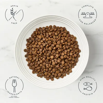 Encore Cat med kyckling - 800 g