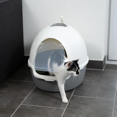 Kattlåda i klotform med vitt lock och grå bas, transparent svängdörr. Katt lämnar lådan.