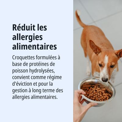 Réduit les allergies alimentaires. Croquettes à base de protéines de poisson hydrolysées, adaptées à un régime d'éviction et à la gestion à long terme des allergies alimentaires.