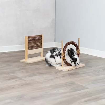 Kaninchen durchläuft einen Spielbogen aus Holz und Weide neben einer kleinen Holzbarriere. Geeignet für interaktives Spielen oder Training.