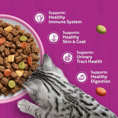 Whiskas 1+ Salmon - Economy Pack: 2 x 1.9kg