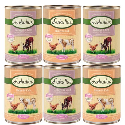 Lukullus Naturkost Junior 6 x 400 g Mix 1 (2 Sorten)