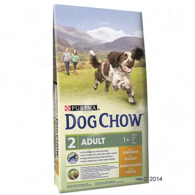 Purina Dog Chow Adult 2 z kurczakiem, dla psów dorosłych 1+, opakowanie 14 kg. Widoczne napisy: 'with chicken', 'kurczakiem', 'adult', '1+', '14kg'.
