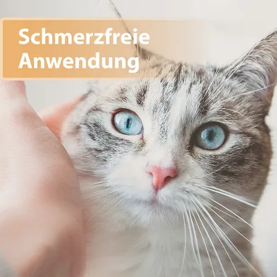 Schmerzfreie Anwendung, Text auf orangefarbenem Hintergrund.