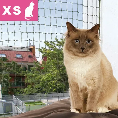 Filet de protection pour chat, taille XS indiquée en haut à gauche, avec un chat assis devant une fenêtre sécurisée par le filet.