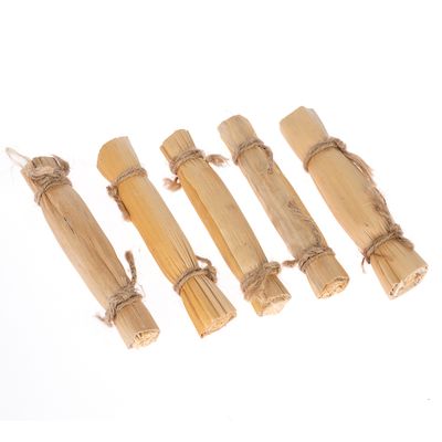 TIAKI Knabberspielzeug Husk Chewies 5 Stück