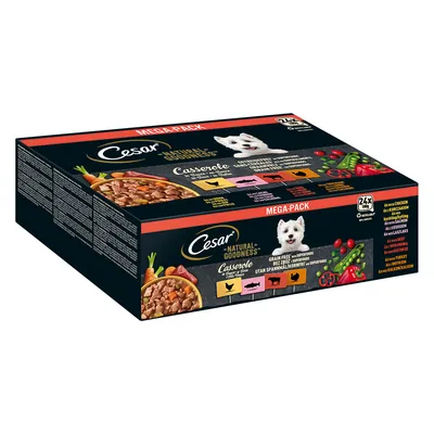 Cesar Natural Goodness Casserole MEGA-PACK, 24 x 100 g. Okusi: piščanec, govedina, jagnjetina, puran. Vidne slike hrane in zelenjave na embalaži. Cesar Natural Goodness Casserole MEGA-PACK, 24 x 100 g. Okusi: piščanec, govedina, jagnjetina, puran. Vidne slike hrane in zelenjave na embalaži.