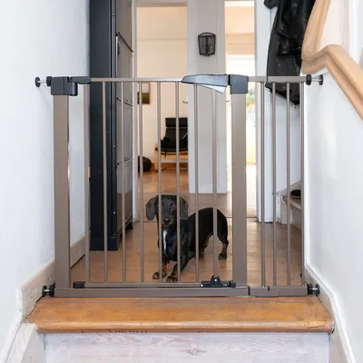 Metallgrind för trappskydd, monterad mellan väggar. En liten hund står bakom på en trätrappa.