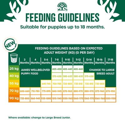 Feeding guidelines chart for puppies up to 18 months, showing daily gram amounts by age and expected adult weight from 25 kg to 90 kg. Advises change to large breed food at certain ages.
