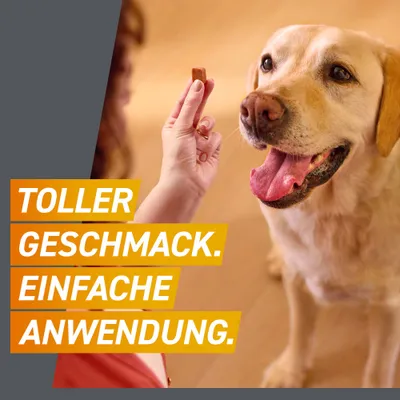Frontpro Kautablette gegen Zecken und Flöhe, für Hunde >10 bis 25 kg - 3 Tabletten