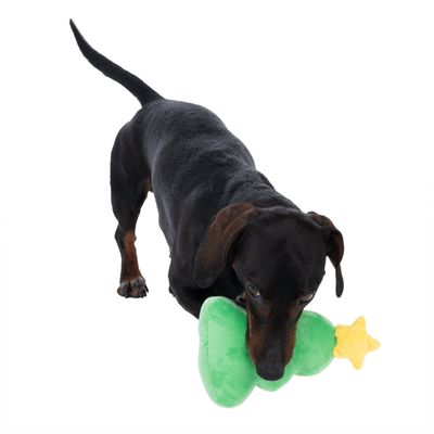 Czarny pies bawi się zieloną pluszową zabawką w kształcie choinki z żółtą gwiazdą.