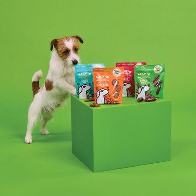 Sachets de friandises pour chien Lily's Kitchen visibles : Duck, Chicken, Beef, Pork. Paquets colorés posés sur un cube vert avec morceaux de friandises devant chaque sachet.