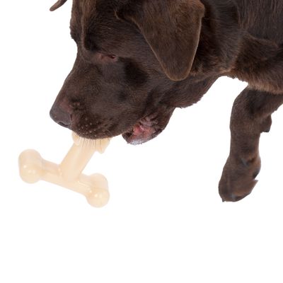 Cane che gioca con un gioco da masticare beige a forma di osso.