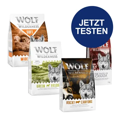 Wolf of Wilderness Hundefutter-Sorten: Soft Wide Acres, Green Fields, Rocky Canyons und The Taste of Canada. Button mit Text 'Jetzt testen'.