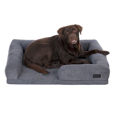 Cane marrone sdraiato su un letto per cani grigio con bordo rialzato. Etichetta visibile: 'Max & Molly'.