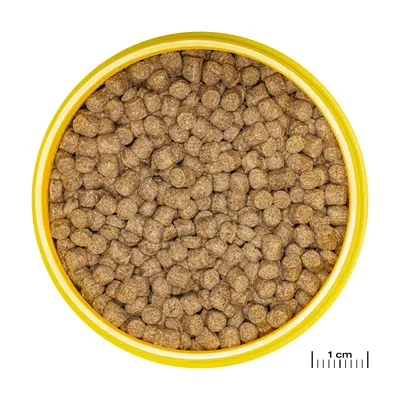 Detailní záběr na hnědé granule suchého krmiva ve žluté misce, vpravo dole měřítko pro porovnání velikosti (1 cm).