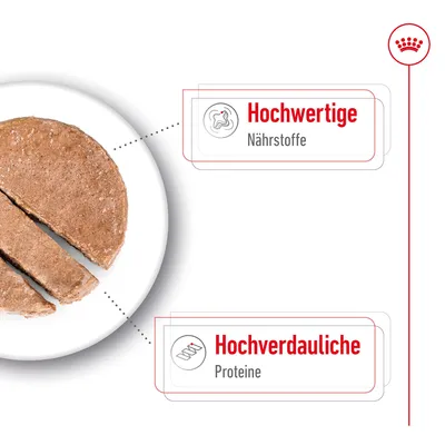 Hochwertige Nährstoffe und hochverdauliche Proteine hervorgehoben neben einem aufgeschnittenen Stück Futter.