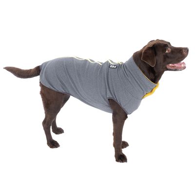 Perro con abrigo gris para perros con detalles amarillos y logotipo visible. El producto muestra el ajuste y el diseño del abrigo.