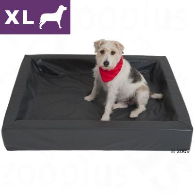 XL-kokoinen koiranpeti, musta keinonahka, koira istuu pedissä. Vasemmassa yläkulmassa violetti laatikko, jossa valkoinen XL-teksti ja koiran siluetti.