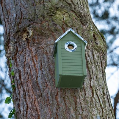 Zielony drewniany domek lęgowy z srebrnym otworem wlotowym, zamocowany na pniu drzewa. Odpowiedni dla ptaków do lęgów i ochrony.