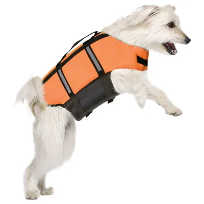 Dog wearing an orange life jacket with black straps and reflective stripes. Product shows safety equipment for pets.