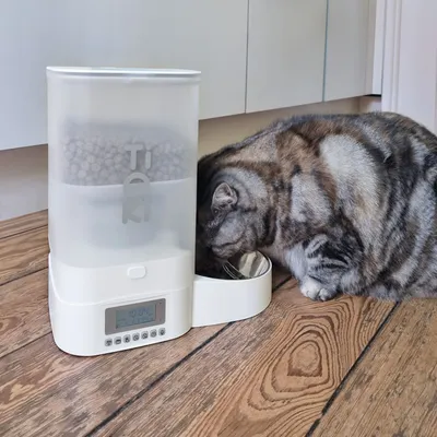 Automatisk foderspridare med digital display och fylld behållare. Katt äter från den integrerade matskålen.