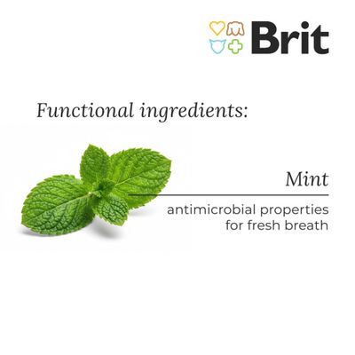 Brit Dental Stick Calm z konopiami i serdecznikiem. Przysmak do codziennej pielęgnacji zębów, bez glutenu, GMO i barwników. Wyprodukowany w UE, wspiera dobre samopoczucie i redukcję stresu.