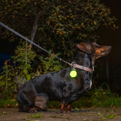 TIAKI Leuchtanhänger Nordlicht - grün