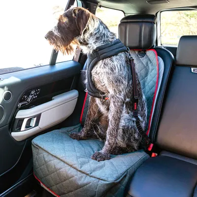 Hund sitter på ett bilsäte med grå, vadderad skyddsfilt och säkerhetssele, fastspänd med ett bälte. Produkten visar användning av skyddsfilt och sele i bil.