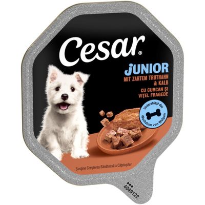 Cesar Junior cibo umido con tenero tacchino e vitello, 150 g.