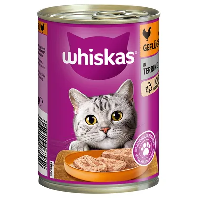 Whiskas kattmat i terrin med fjäderfä, 100% smak, högkvalitativa ingredienser, återvinningsbar förpackning. Visad: grå katt och mat på tallrik.