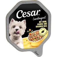 Lot de barquettes Cesar 28 x 150 g - Ragoût poulet, légumes, riz brun