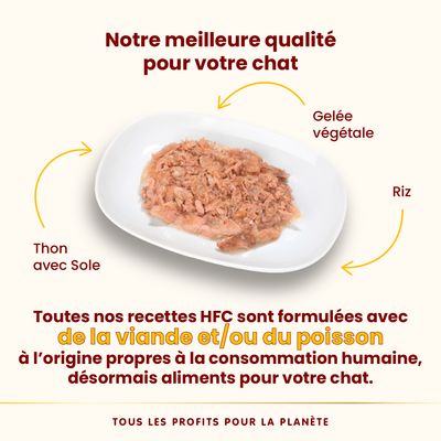 Assiette de nourriture pour chat avec thon, sole, riz et gelée végétale. Texte : recettes HFC formulées avec viande et/ou poisson propres à la consommation humaine, désormais aliments pour chat.